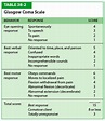 The Glasgow Coma Scale (GCS) for first aiders - First Aid for Free