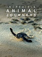 Incredible Animal Journeys | TVmaze