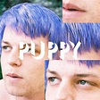 Fan Album Cover - BROCKHAMPTON "PUPPY" | Album cover design, Album ...