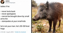 Just 24 Of The Best 30-50 Feral Hog Tweets We Could Find