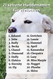 Seltene Hundenamen für Weibchen (Liste mit Bedeutung 2024) | Hundenamen ...