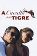 A cavallo della tigre (2002) - Posters — The Movie Database (TMDB)