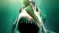 Ghost Shark - Die Legende lebt | StreamPicker