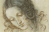 Leonardo Da Vinci - A Life In Drawing review: A view into the restless ...