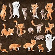 Several Species of Small Furry Animals Gathered Together in a Cave and ...