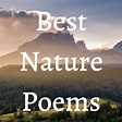 10 of the Best Nature Poems Every Poetry Lover Must Read