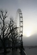 The London Eye in the fog Photograph by Graham Ettridge - Fine Art America