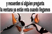 Top memes de pingüinos de madagascar en español :) Memedroid