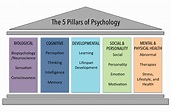 The Five Psychological Domains | Introduction to Psychology