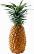 Pineapple PNG Images Transparent Free Download | PNGMart.com