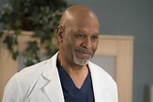 Richard Webber | What Happened on Grey's Anatomy Season 14 | POPSUGAR ...