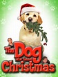The Dog Who Saved Christmas (TV Movie 2009) - IMDb