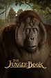 The Jungle Book (2016) - Posters — The Movie Database (TMDB)