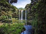 Whangarei Falls, New Zealand [OC] [3968x2976] : r/EarthPorn
