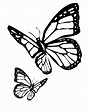 Butterfly Coloring Pages | Butterfly coloring page, Butterfly drawing ...