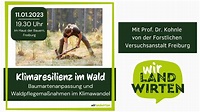 Waldwirtschaft im Klimawandel - Prof. Kohnle (FVA Freiburg) - YouTube
