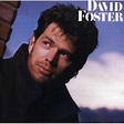 David Foster : Best Ever Albums