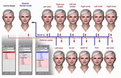 Morph Facial Animation · 3dtotal · Learn | Create | Share