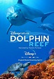 دانلود فیلم Dolphin Reef 2020 | اسکای فیلم