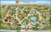 10 Reasons Why You Will Love The Sacramento Zoo | THIS MOM IS GOING PLACES
