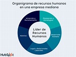 3 ejemplos de organigramas de recursos humanos