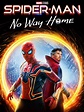 Prime Video: Spider-Man: No Way Home