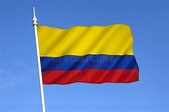 Flag of Colombia - South America Stock Photo - Image of standard ...