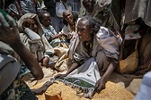 ‘Large-scale’ fighting shatters lull in Ethiopia’s Tigray – Metro ...