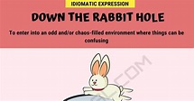 Down The Rabbit Hole Meaning with Helpful Examples • 7ESL