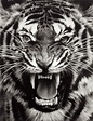 ROBERT LONGO - Untitled (Roaring Tiger Print), 2015