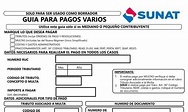 Guía pagos varios SUNAT [Rellenar] - Infocat Soluciones