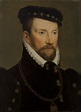 Admiral Gaspard II de Coligny - Saint Louis Art Museum
