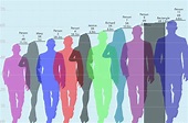 Height Comparison Chart: An Online Tool