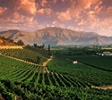 8 Things to do in Mendoza : The Wine Capital of Argentina - 7 Summits ...