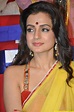 Amisha Patel Hot Stills In Yellow Saree - Actress Album