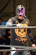 BUSHI | Puroresu System Wiki | FANDOM powered by Wikia