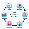 The scientific method vector illustration – VectorMine