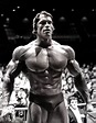 35 Awesome High-Res Photos Of Arnold Schwarzenegger
