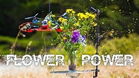 How to Destroy Flowers With This One Neat Trick - YouTube