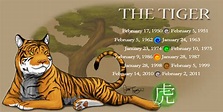Year of the Tiger by BlazeTBW on DeviantArt
