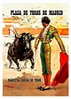 'Plaza de Toros Madrid' Poster, picture, metal print, paint by Long ...