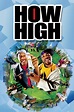 How High (2001) - IMDb