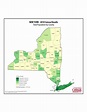 New York County Population Map Free Download