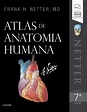 Atlas De Anatomia Humana Frank H Netter Pdf