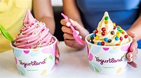 19 Yogurtland Frozen Yogurt Flavors Ranked Worst To Best
