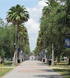 Explore the New College of Florida Campus in This Photo Tour: Dort ...