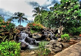 Hawaiian Garden | Outdoor waterfalls, Pond landscaping, Hawaiian gardens