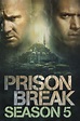 Prison Break Saison 5 - AlloCiné