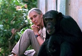 Jane Goodall presenta su historia real: 'Wounda, una historia de esperanza'