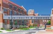 Universidad De Tennessee Entrance Y De La Calzada Del Campus Foto ...